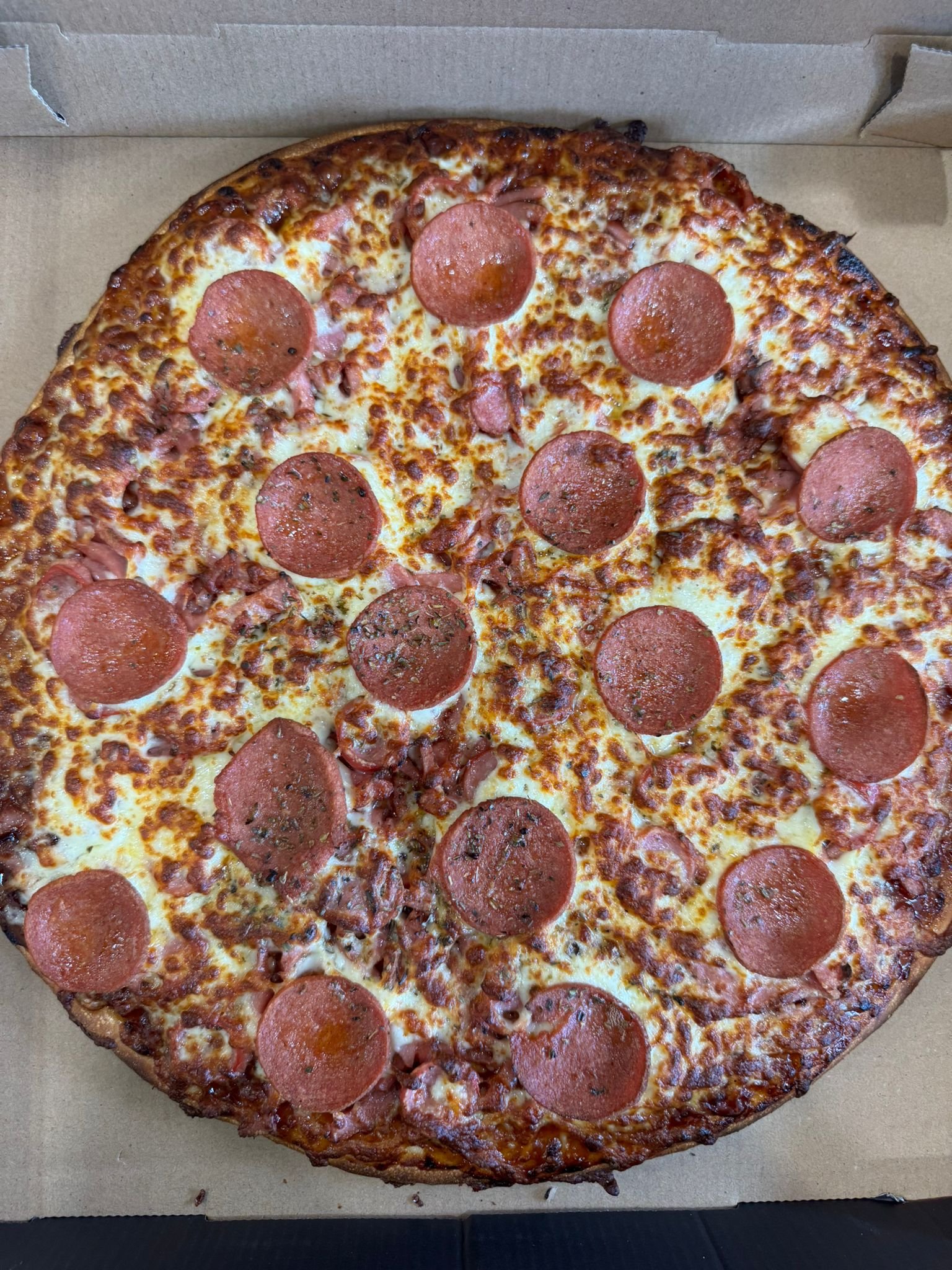 WhatsApp Image 2026-01-09 at 9.17.24 PM